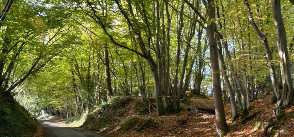 Eastbourne Rambling Club